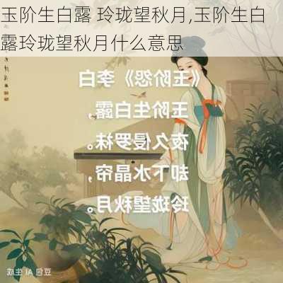 玉阶生白露 玲珑望秋月,玉阶生白露玲珑望秋月什么意思