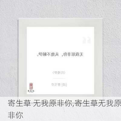 寄生草 无我原非你,寄生草无我原非你