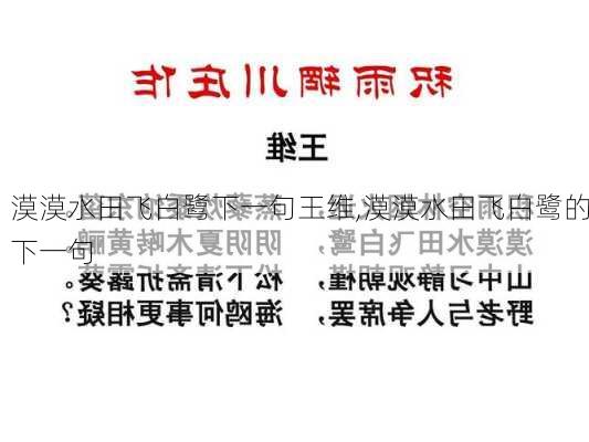 漠漠水田飞白鹭下一句王维,漠漠水田飞白鹭的下一句