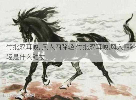 竹批双耳峻, 风入四蹄轻,竹批双耳峻,风入四蹄轻是什么动物