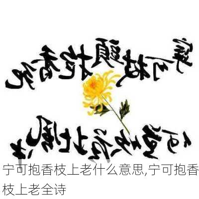 宁可抱香枝上老什么意思,宁可抱香枝上老全诗