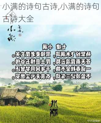 小满的诗句古诗,小满的诗句古诗大全