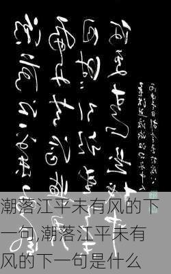 潮落江平未有风的下一句,潮落江平未有风的下一句是什么