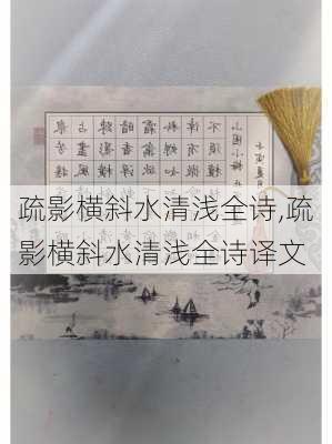 疏影横斜水清浅全诗,疏影横斜水清浅全诗译文