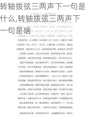 转轴拨弦三两声下一句是什么,转轴拨弦三两声下一句是啥