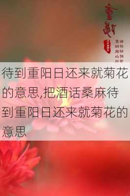 待到重阳日还来就菊花的意思,把酒话桑麻待到重阳日还来就菊花的意思