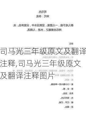 司马光三年级原文及翻译注释,司马光三年级原文及翻译注释图片