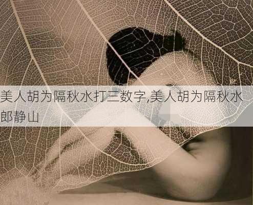 美人胡为隔秋水打三数字,美人胡为隔秋水郎静山