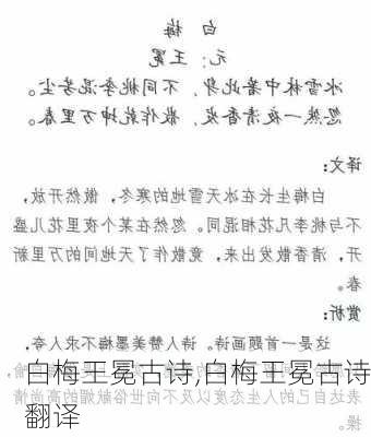 白梅王冕古诗,白梅王冕古诗翻译