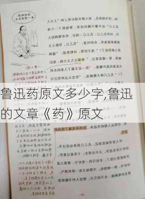 鲁迅药原文多少字,鲁迅的文章《药》原文