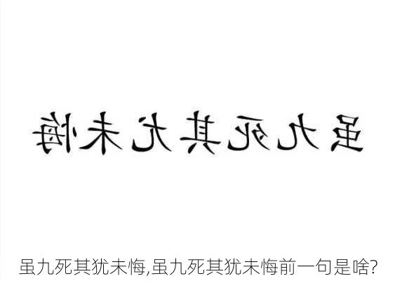 虽九死其犹未悔,虽九死其犹未悔前一句是啥?