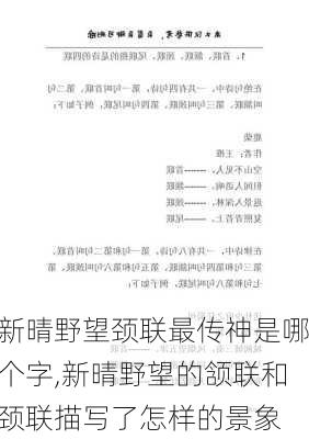 新晴野望颈联最传神是哪个字,新晴野望的颔联和颈联描写了怎样的景象