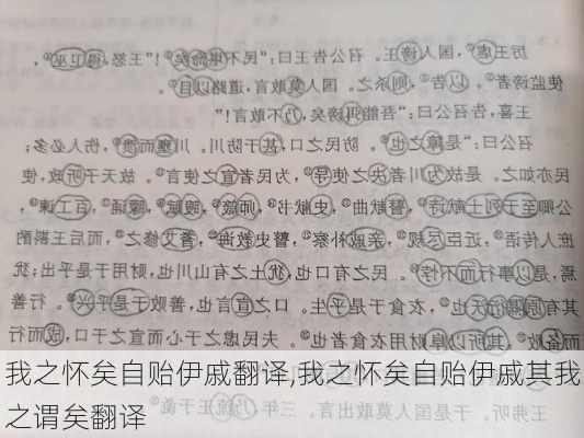 我之怀矣自贻伊戚翻译,我之怀矣自贻伊戚其我之谓矣翻译