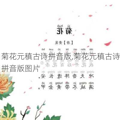 菊花元稹古诗拼音版,菊花元稹古诗拼音版图片