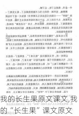 我的长生果原文课文,我的“长生果”课文原文