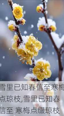 雪里已知春信至寒梅点琼枝,雪里已知春信至 寒梅点缀琼枝