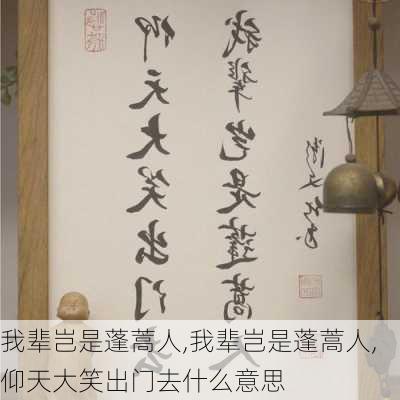 我辈岂是蓬蒿人,我辈岂是蓬蒿人,仰天大笑出门去什么意思