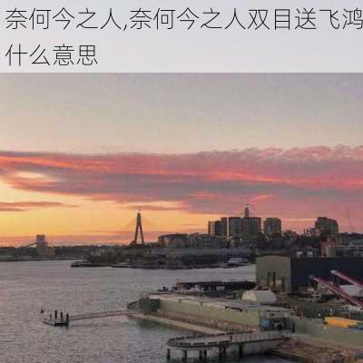 奈何今之人,奈何今之人双目送飞鸿什么意思