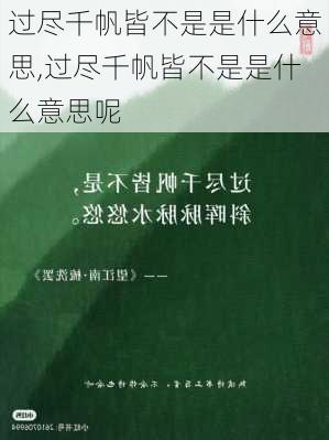 过尽千帆皆不是是什么意思,过尽千帆皆不是是什么意思呢