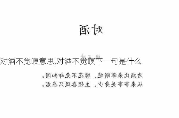 对酒不觉暝意思,对酒不觉暝下一句是什么