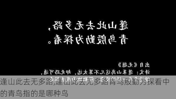 逢山此去无多路,逢山此去无多路青鸟殷勤为探看中的青鸟指的是哪种鸟