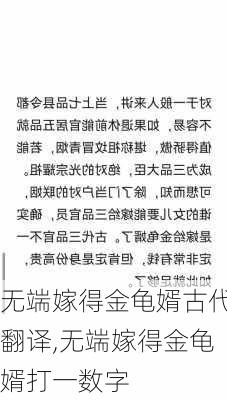 无端嫁得金龟婿古代翻译,无端嫁得金龟婿打一数字