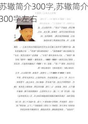 苏辙简介300字,苏辙简介300字左右