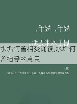 水垢何曾相受诵读,水垢何曾相受的意思