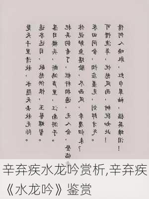 辛弃疾水龙吟赏析,辛弃疾《水龙吟》鉴赏