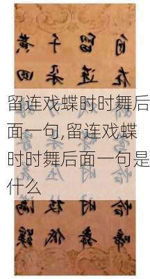 留连戏蝶时时舞后面一句,留连戏蝶时时舞后面一句是什么