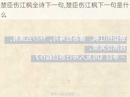 楚臣伤江枫全诗下一句,楚臣伤江枫下一句是什么