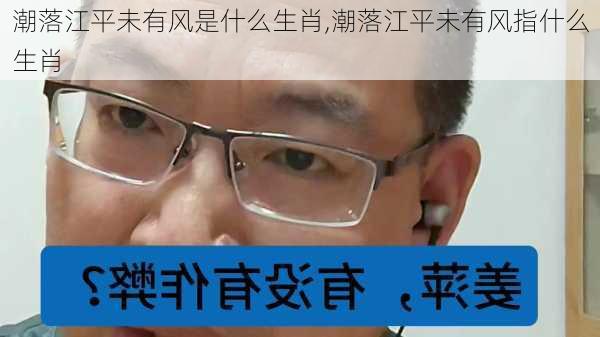 潮落江平未有风是什么生肖,潮落江平未有风指什么生肖