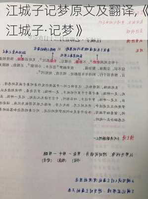 江城子记梦原文及翻译,《江城子·记梦》