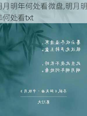 明月明年何处看微盘,明月明年何处看txt