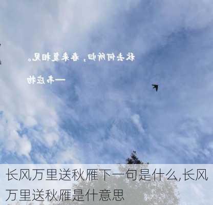 长风万里送秋雁下一句是什么,长风万里送秋雁是什意思