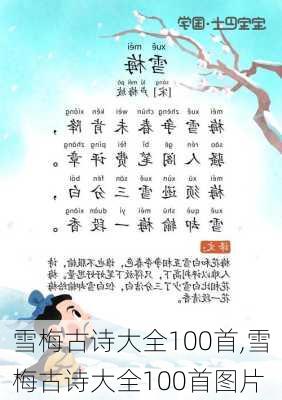 雪梅古诗大全100首,雪梅古诗大全100首图片