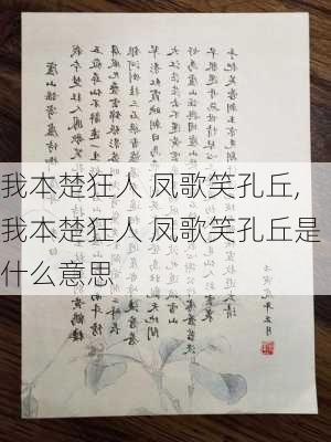 我本楚狂人 凤歌笑孔丘,我本楚狂人 凤歌笑孔丘是什么意思