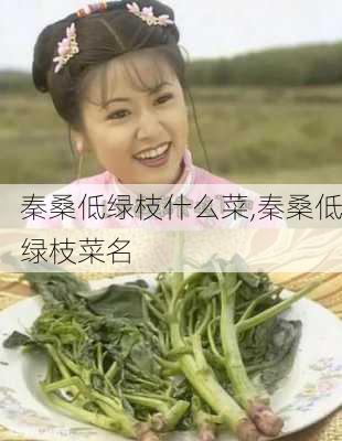 秦桑低绿枝什么菜,秦桑低绿枝菜名