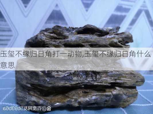 玉玺不缘归日角打一动物,玉玺不缘归日角什么意思