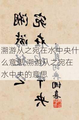 溯游从之宛在水中央什么意思,溯游从之宛在水中央的意思