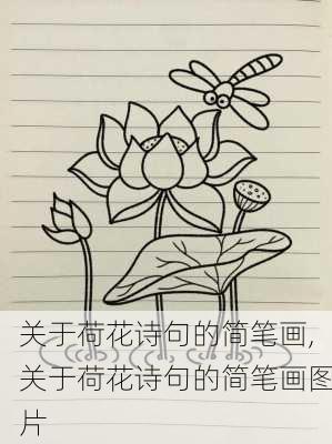 关于荷花诗句的简笔画,关于荷花诗句的简笔画图片