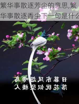 繁华事散逐芳尘的意思,繁华事散逐香尘下一句是什么